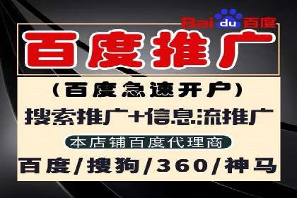 SEM推广公司案例分享：电商品牌崛起之路
